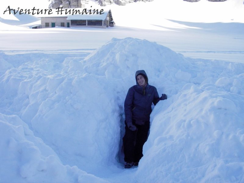 Igloo Chartreuse