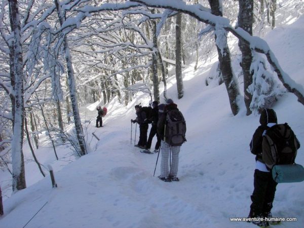 Randonnée en raquettes à neige