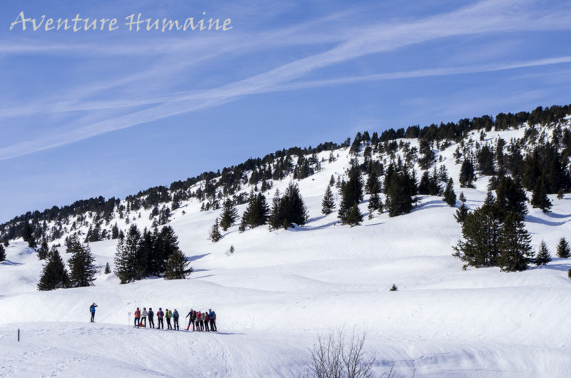 Groupe de randonneurs en raquette sur les hauts-plateaux de Chartreuse
