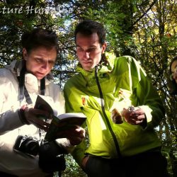 Identifier les champignons