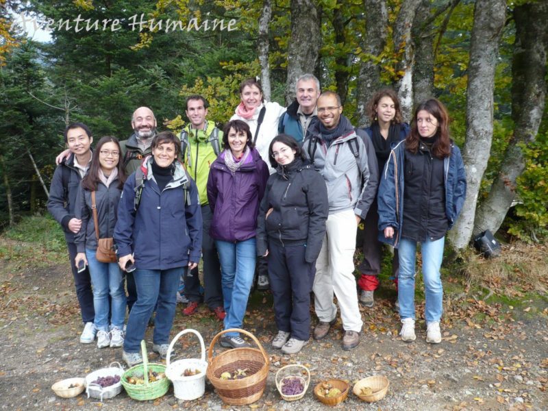 Cueillette des champignons