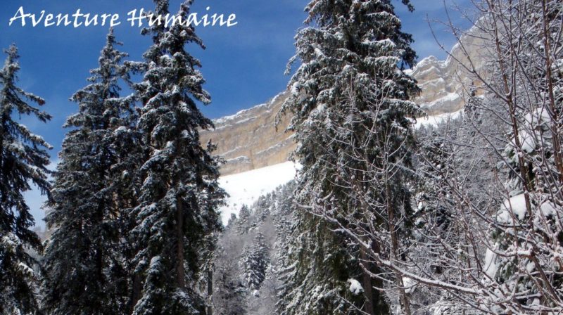 Paysages de Chartreuse au dessus du Habert de Chamechaude