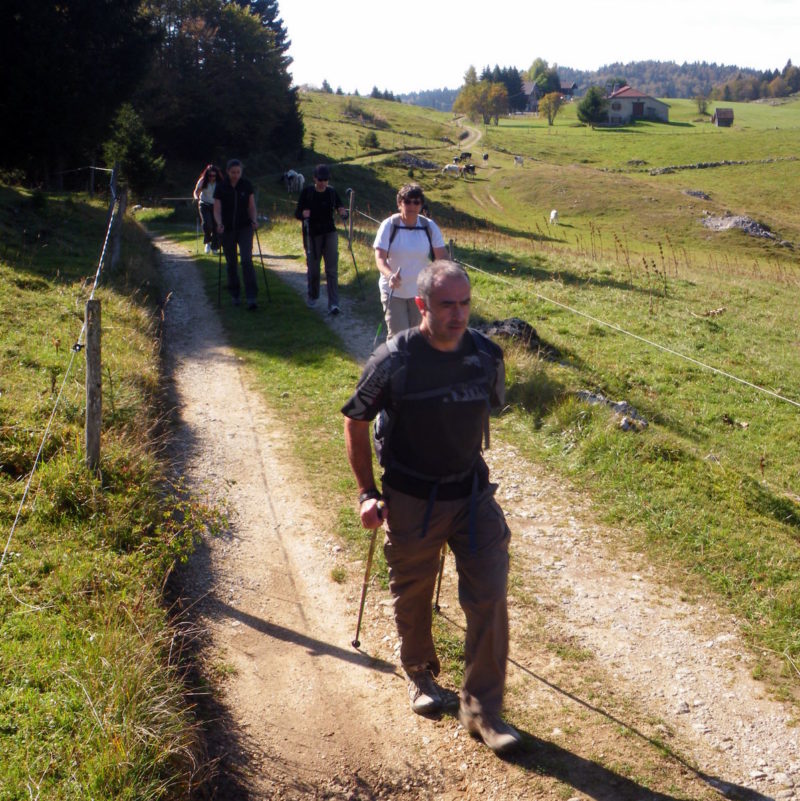 Stage de marche nordique dans le Forez