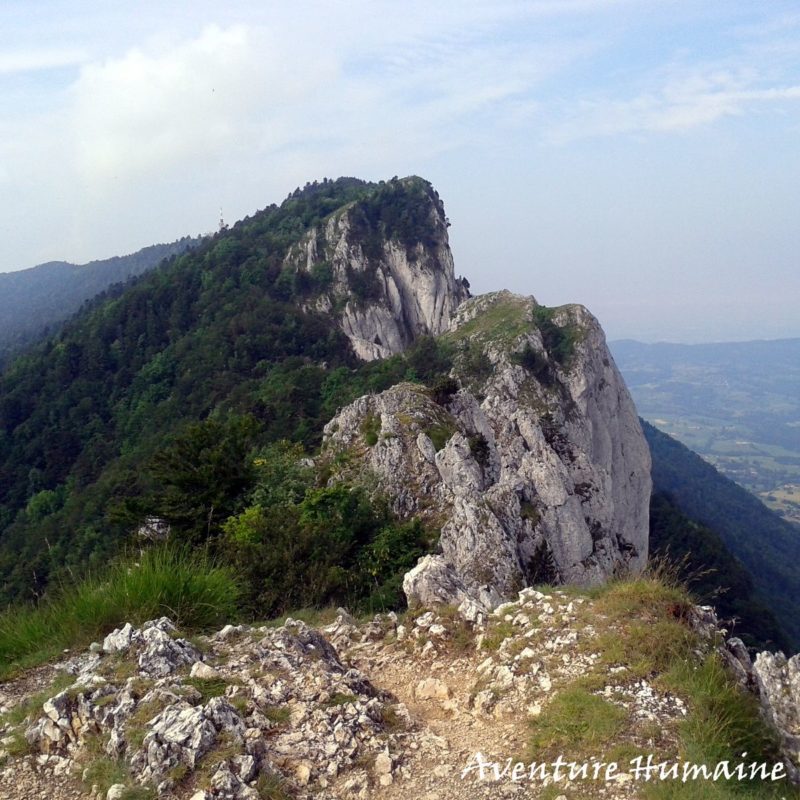 La Dent du Chat - randonnée du vertige en avant-pays savoyard