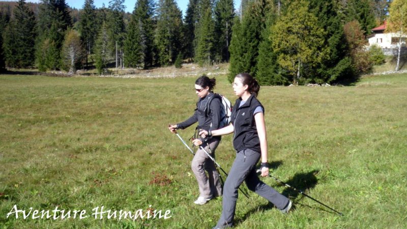 Stage de marche nordique dans le Forez