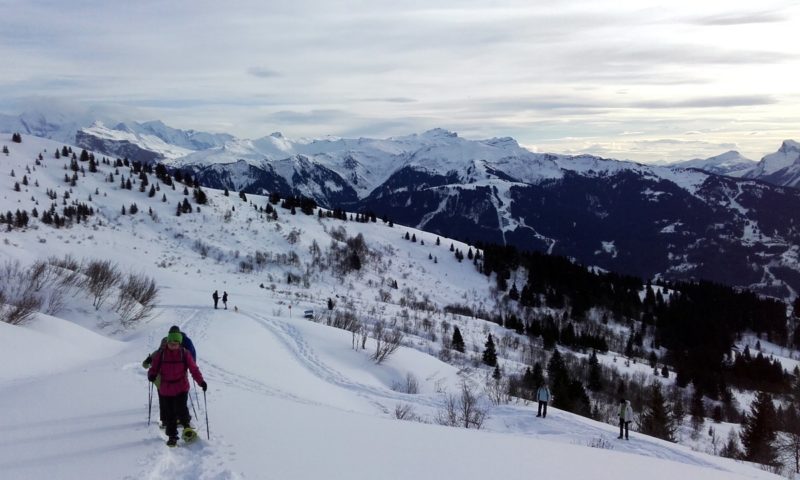 Stage marche nordique et raquettes en montagne