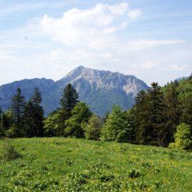 Montagne Alpes et Jura