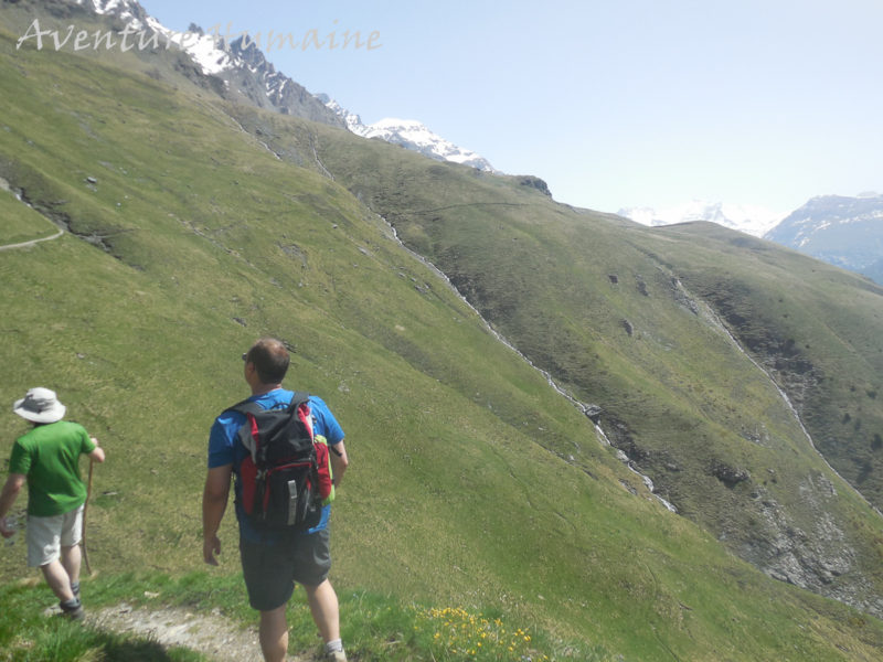 Contemplation de la faune et de la flore de Vanoise