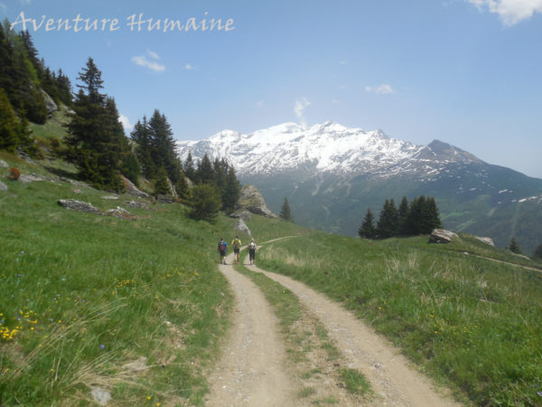 Randonneurs sur les sentiers de Vanoise