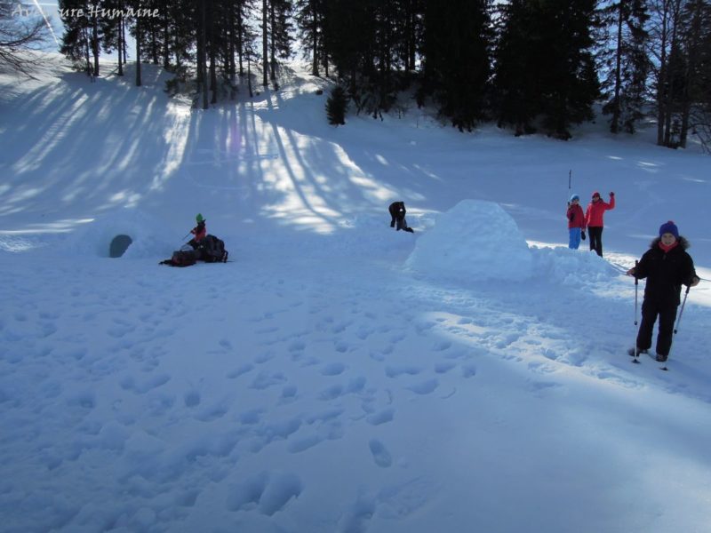 construire un igloo en famille