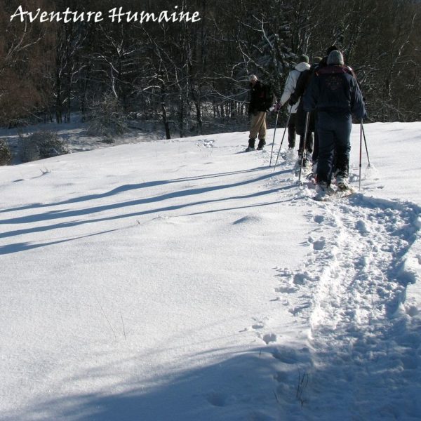 Découverte raquette au Mariet d'Arith - Massif des Bauges