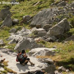 Prise de vue naturaliste lors du stage photo en montagne