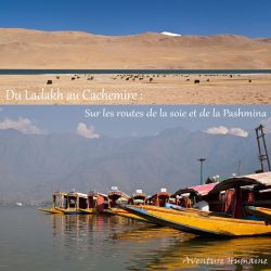Cachemire Ladakh : sur les routes de la soie et de la pashmina