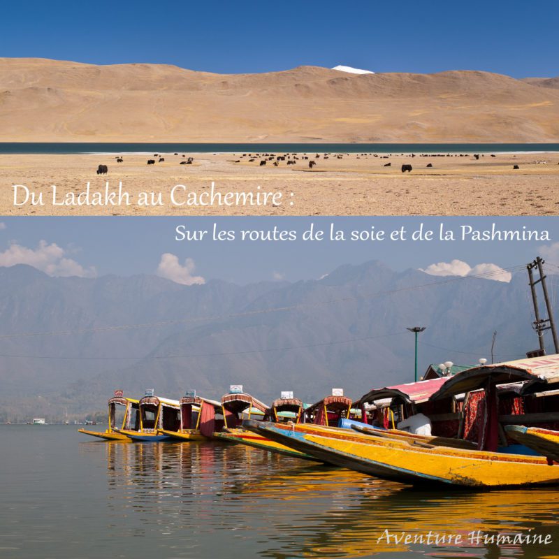 Voyage au Ladakh et au Cachemire