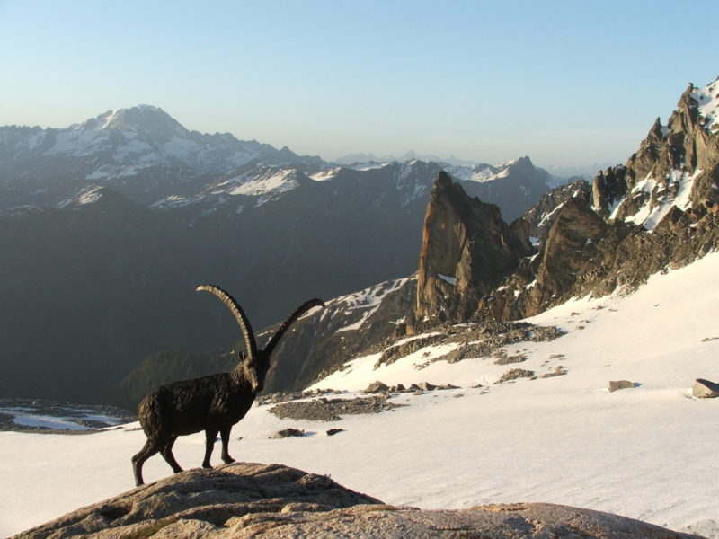 Tour du Mont Blanc alpinisme (TMB duo d'en haut)