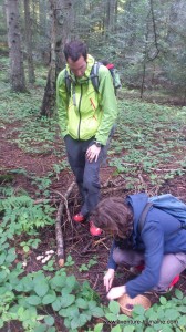 Identification des champignons avec un guide mycologue
