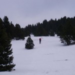 La montée de la Combe Male, en fin de journée