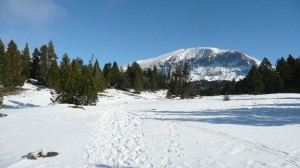 Les plateaux enneigés, avec en trame de fond le Grand Veymont