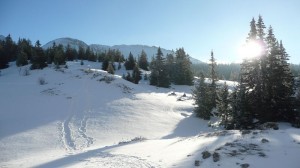 Un seul rayon de soleil, avant le brouillard et la neige
